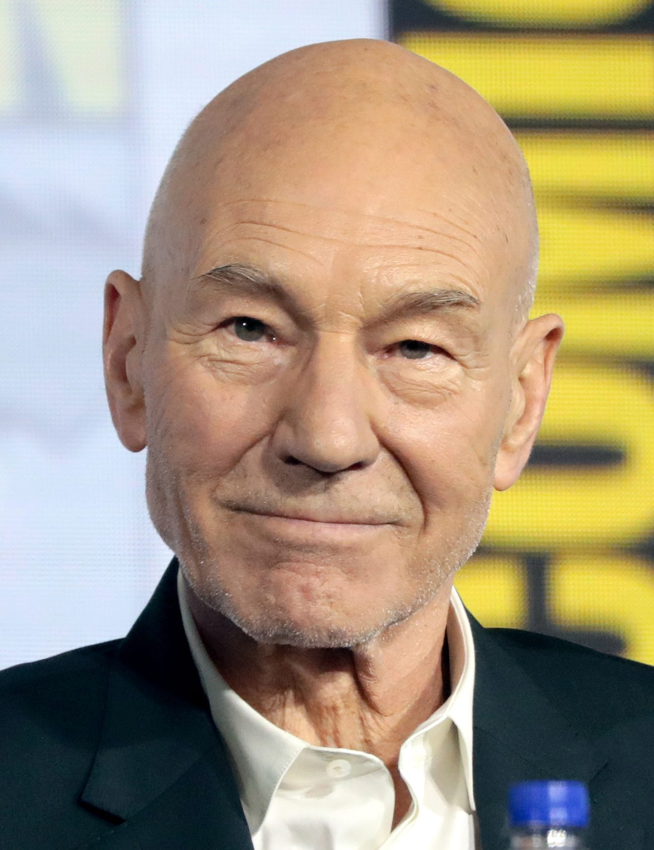 Ian McKellen Honors Late Friend Patrick Stewart in Heartfelt Tribute