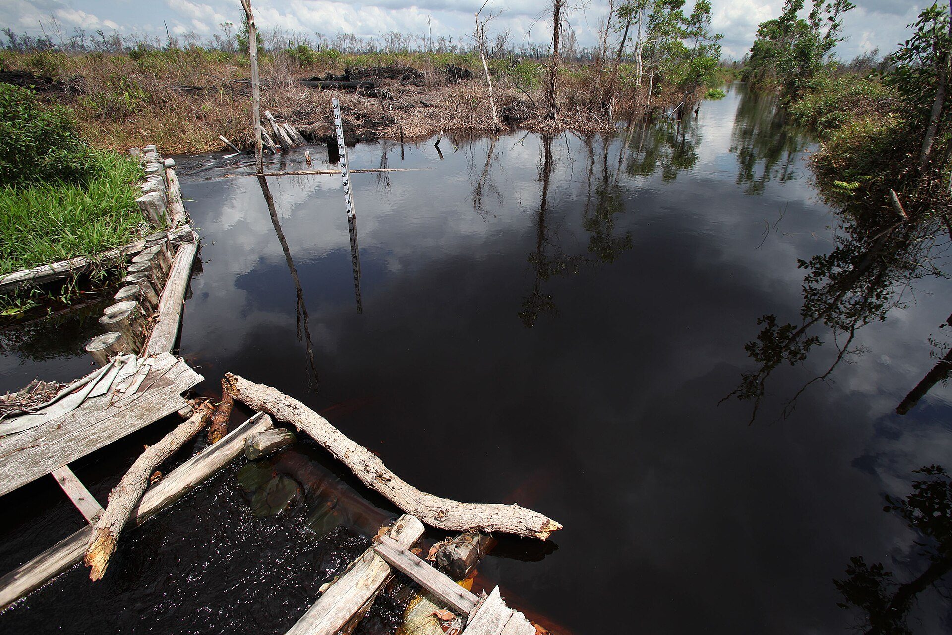 Indonesia Faces Worst Peat Wildfire Season in a Decade