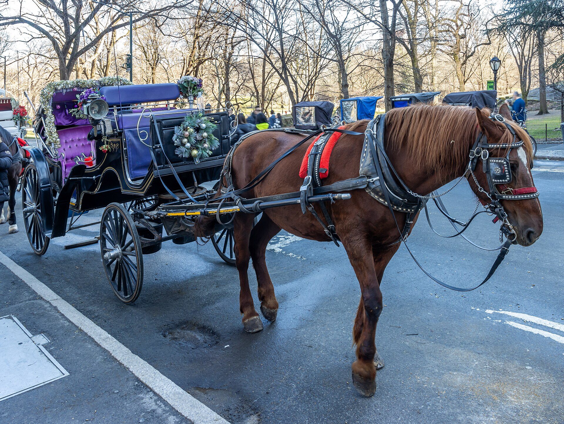 New York City Ends Over 160 Years of Horse-Drawn Carriage Tradition